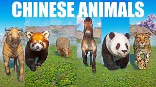 Chinese Animals Speed Races in Planet Zoo