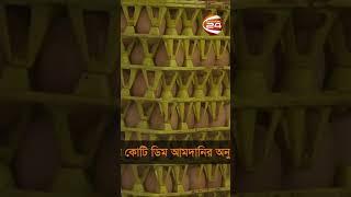 আমদানি করা হচ্ছে ৪ কোটি ডিম #eggprice #channel24 #egg #shorts