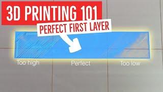 3d Printer Tips: Getting The Perfect First Layer