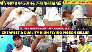 Cheapest & High Flying Pigeon Seller | গালিফ স্ট্রিট সবচেয়ে বড় পায়রার হাট |Galiff St.Market|21/7/24