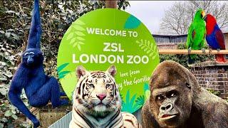 London Zoo 4K 2023