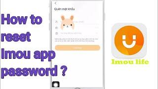 How to Reset Password Imou App? | Saduca Camera Computer