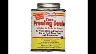 Tanglefoot Tree Pruning Sealer Can with Brush Cap - Overview