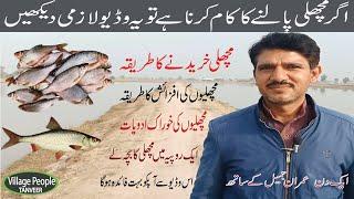 Fish farming in pakistan  fish farming business  How to start fish farming