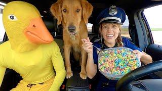 Police Surprises Rubber Ducky & Puppy with Car Ride Chase!