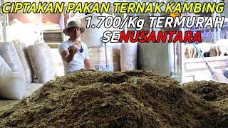 BERHASIL PRODUKSI PAKAN TERNAK KAMBING TERMURAH SENUSANTARA 1700/KG