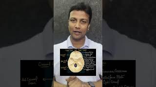 Cadaveric Vision: Cranial Foramen | Dr. Azam Anatomy