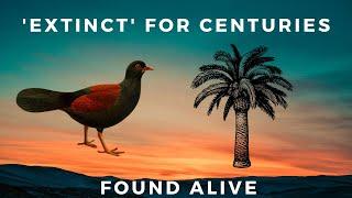 Lost for Centuries - How 2 Species were Found still Living