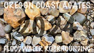 2024 | Floodwater Rockhounding | Oregon Coast Range | Ep. 01 #OregonCoastAgates