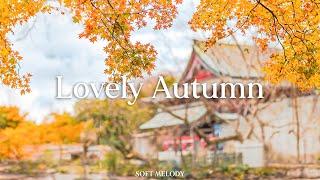 Morning mood  Start your day positively with me - Lovely Autumn