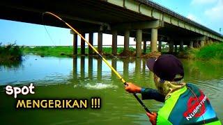 Siapkan alat yang Kuat Untuk Mancing ikan nila super besar di sungai ini #hp -195