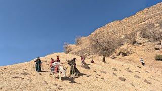 Planting Acorns in Rainfed area, DOORA official channel