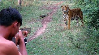 Full video : Hunt all day in the forest, a wild tiger's nest, set traps to survive