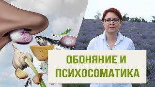 Обоняние и психосоматика: как запахи влияют на настроение. Главный механизм Аромапсихологии