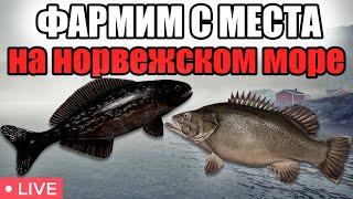 РР4 СТРИМ • ФАРМИМ СЕРЕБРО НА НОРВЕЖСКОМ МОРЕ :)  • РОЗЫГРЫШИ • РУССКАЯ РЫБАЛКА 4