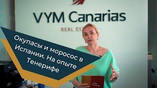 Окупасы и моросос в Испании. На опыте Тенерифе