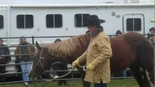 Legenday Horse Whisperer Ray Ainsworth | Blain’s Farm & Fleet