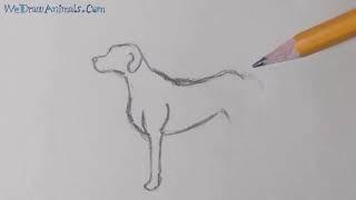 How to Draw a Dog In 5 EASY Steps - GREAT for Kids & Beginners