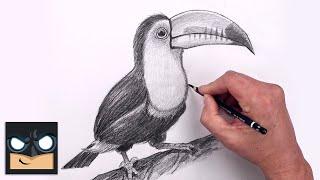 How To Draw a Toucan | Beginners Sketch Art Lesson (Step by Step)