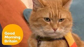 The Incredible Story of a Street Cat Named Bob | Good Morning Britain