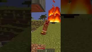 Minecraft: If Saving Enderman was a Choice #Shorts