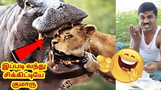 விலங்குகள் செய்த மிகப் பெரிய  தவறுகள் |  Animals Messed With Wrong Opponents | Arivom Tamila