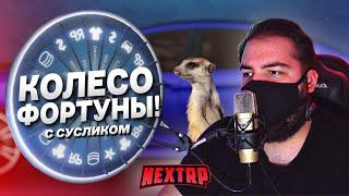 РАНДОМ... КОЛЕСО ФОРТУНЫ С СУСЛИКОМ! КОМУ БОЛЬШЕ ВЕЗЁТ? (Next RP)