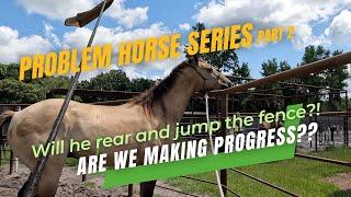 PTR 028: Problem Horse series pt2  Preparing a Rearing and Flipping Horse to be ridden