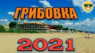 Грибовка 2021. Отдых в начале сезона.