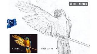 Pencil Sketch Action Effect || Free Download || Ozzie Offical