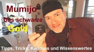 Mumijo Shilajit Altei MountainDrop Effect Intake Test Origin Application Review German