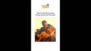 Introducing PawSpace Doorstep Pet Grooming - Bath and basic grooming #petgroomer #pet #dog #doglover