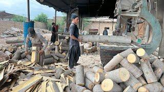 Manufacturing Process of Safety Matchstick in 3rd World is Mind-Blowing