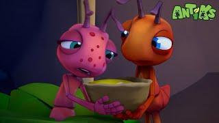 Get The Ant-idote  | Full Episodes | Antiks | Cartoons for Kids