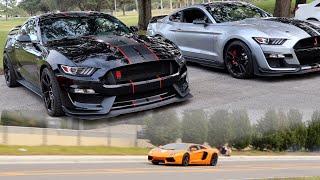 Chasing Supercars in a Shelby GT350R