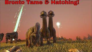BRONTO TAMING AND HATCHING| ARK: SURVIVAL EVOLVED #57