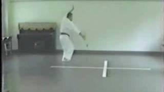 Kenpo Kai - Teaching Kata