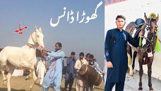 Horse Dance  Kashmiri MeLa || Dadyal Azad Kashmir ||@Haseeb Raja Official