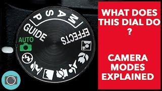 Canon, Nikon beginners start here. Camera modes explained - auto v manual modes