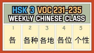 [New HSK 3 Voc list] Voc: 231-235