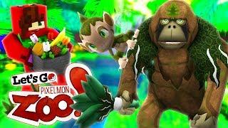 Let's Go Pixelmon Zoo  Monkey Mayhem! (Minecraft Pokemon Roleplay Ep 1)