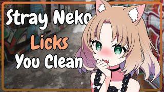 stray neko bathes you [F4A] [neko listener] [ear licks] [scrubbing] [playful]