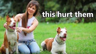 5 Everyday Things That Hurt Your Dogs Feelings