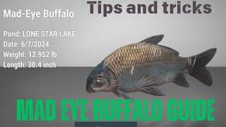 How to catch Mad Eye Buffalo - Fishing planet guide and tips