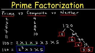 Prime Factorization Explained!