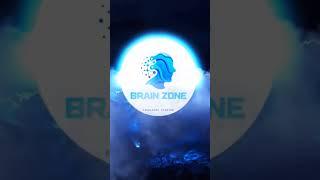 Welcome to the Brain Zone