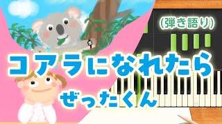 新曲！歌詞付き!  みんなのうた『コアラになれたら』／ぜったくん【ピアノ弾き語り(伴奏)】