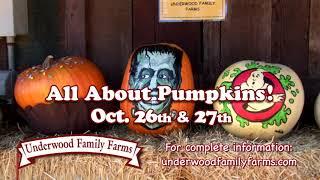 All About Pumpkins - Underwood Family Farms