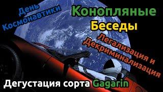 Что такое декриминализация и легализация. Дегустация сорта Gagarin. Конопляные Беседы