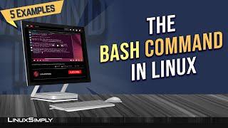 How to Use “bash” Command in Linux [5 Practical Examples] | LinuxSimply